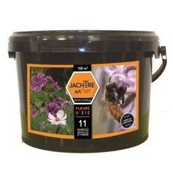 Jachère Mellifère Fleurs D'été