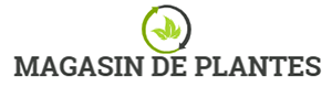 Magasin De Plantes